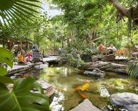 Subtropical swimmingpools in The Netherlands